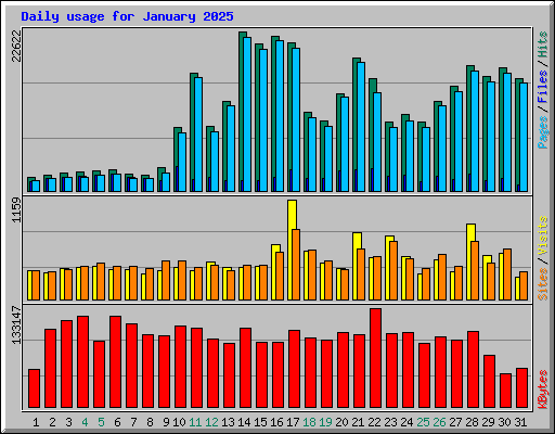 Daily usage for January 2025