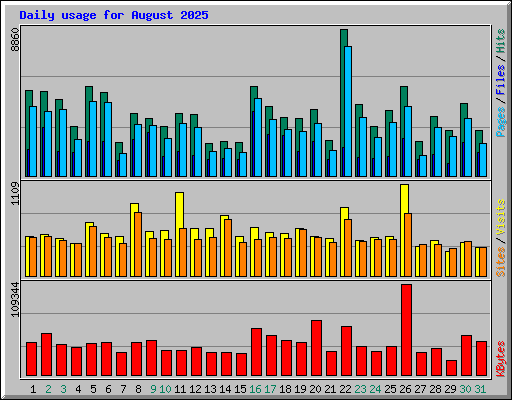 Daily usage for August 2025