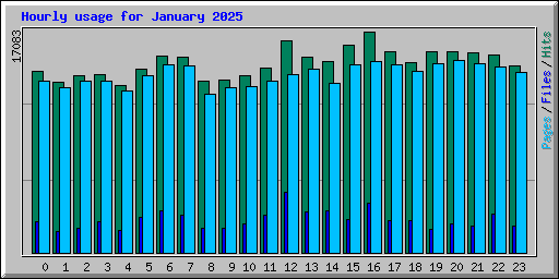 Hourly usage for January 2025