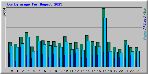Hourly usage for August 2025