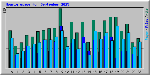 Hourly usage for September 2025