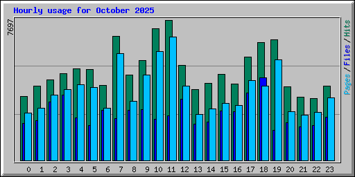 Hourly usage for October 2025