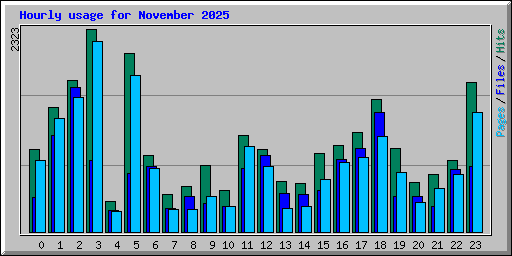 Hourly usage for November 2025
